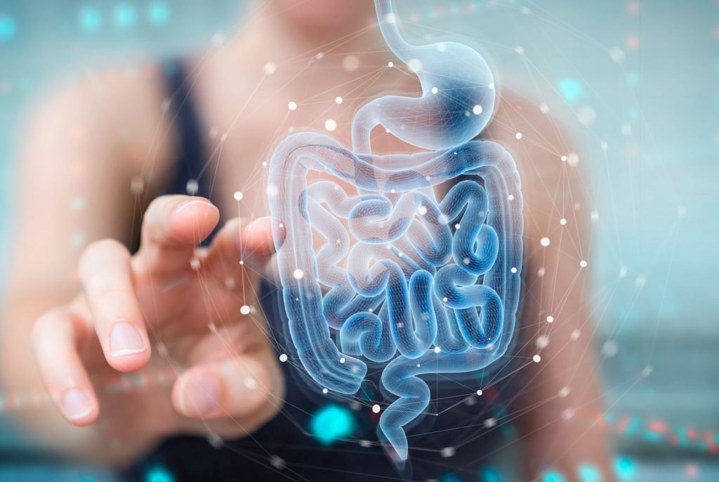 Microbiota intestal en la salud - EtioSalud