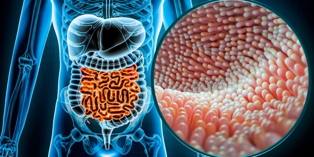 Microbioma y enfermedades cronicas - EtioSalud