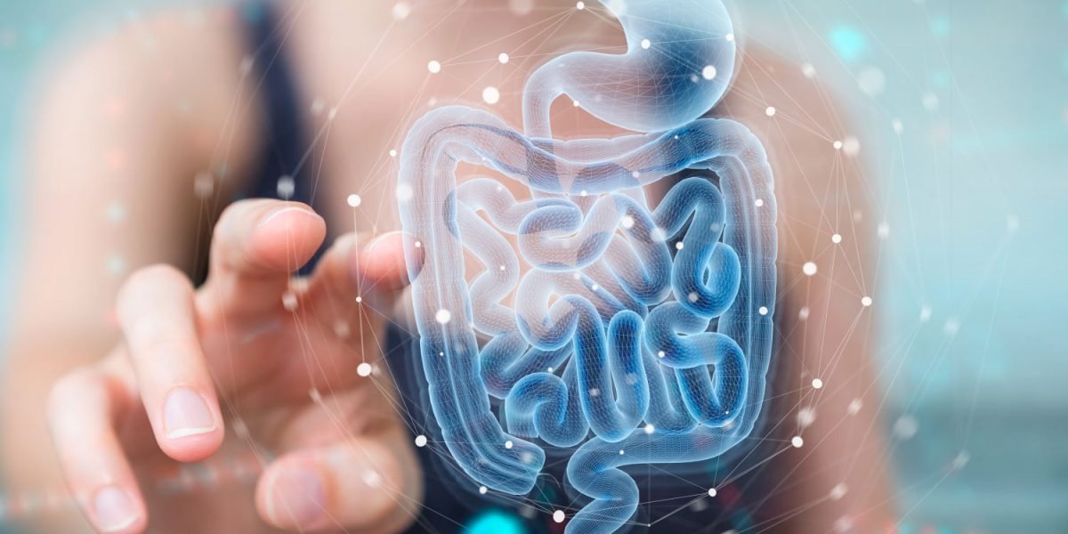 Microbiota intestal en la salud - EtioSalud